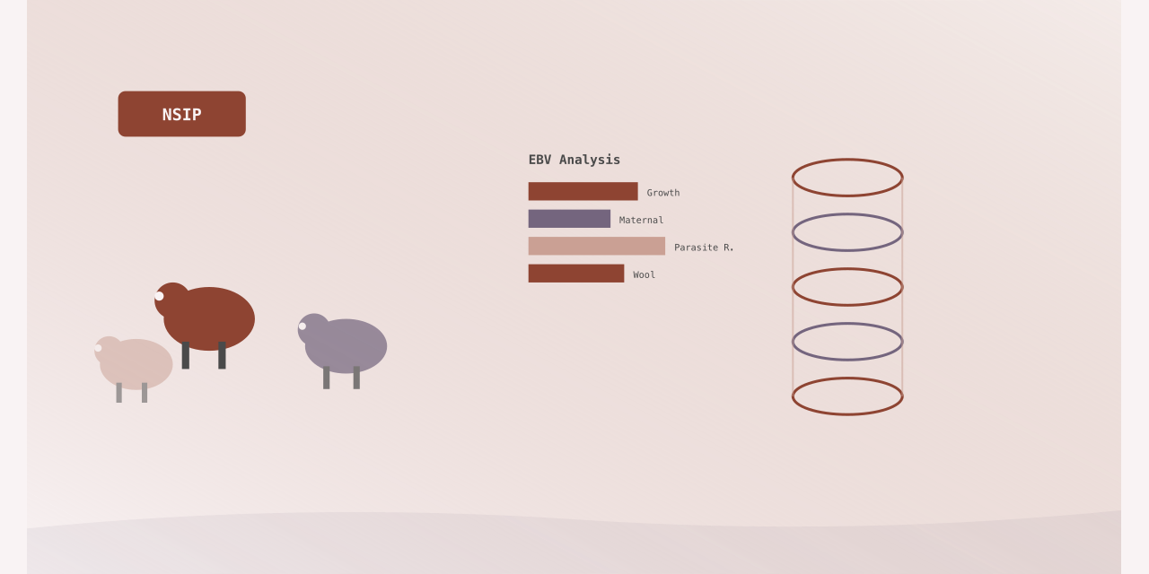Using NSIP Tools for Efficient Breeding Decisions